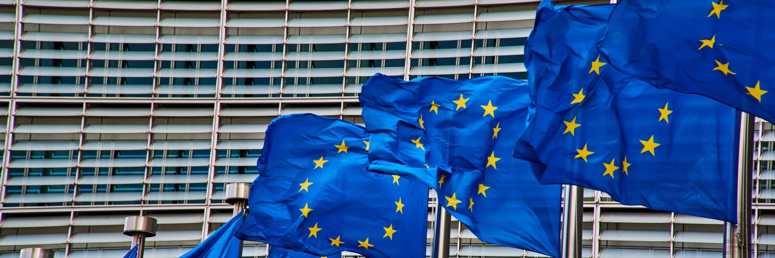 Europawahl