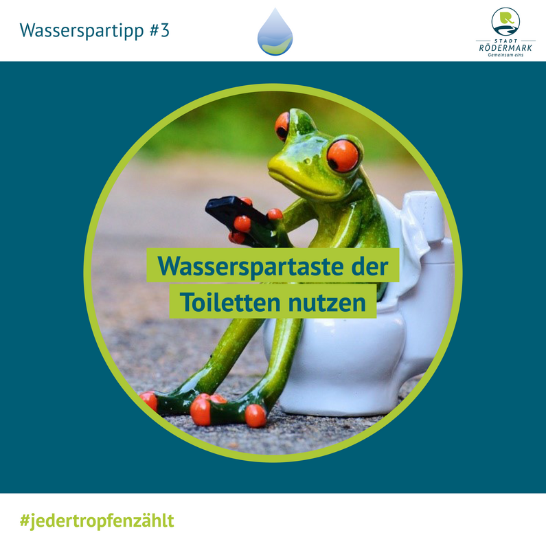 Froschfigur mit Handy auf der Toilette
