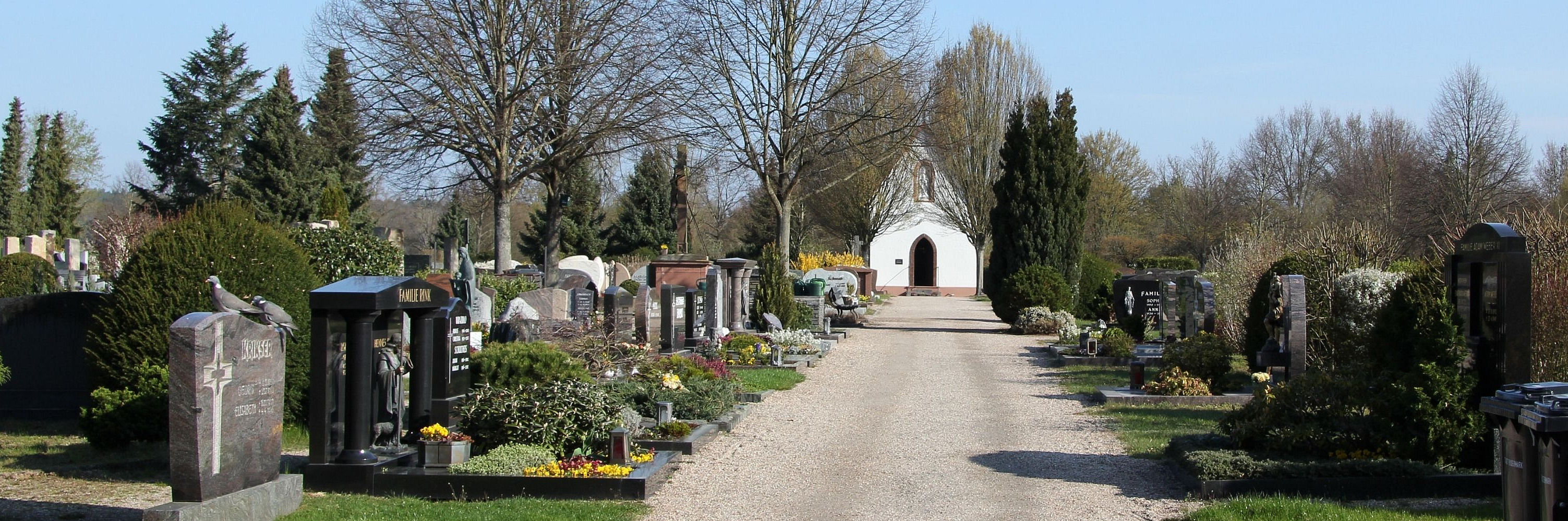 Blick auf einen breiten Weg zwischen Grabsteinen und bepflanzten Gräbern auf einem Friedhof mit einer kleinen Kapelle im Hintergrund und kahlen Bäumen im Frühling