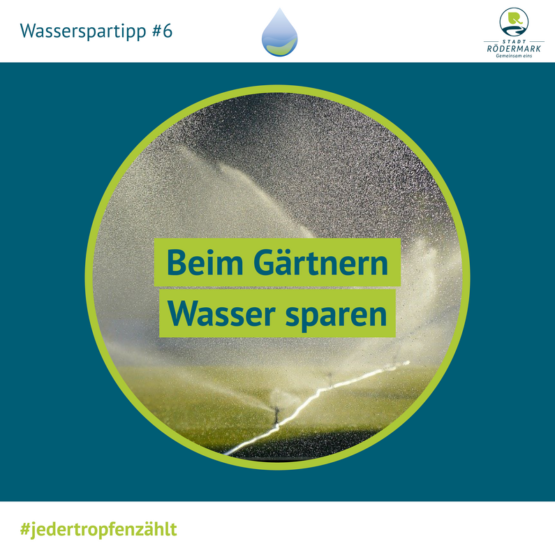 Rasensprenger der den Rasen sprengt.